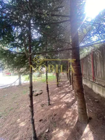 Casă 10 camere Manastirea Casin - poza 5