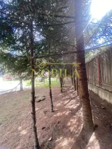 Casă 10 camere Manastirea Casin - poza 5