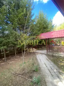 Casă 10 camere Manastirea Casin - poza 6