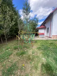 Casă 10 camere Manastirea Casin - poza 8