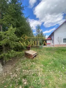 Casă 10 camere Manastirea Casin - poza 10