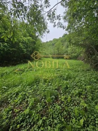 Teren Târgu Ocna - poza 1