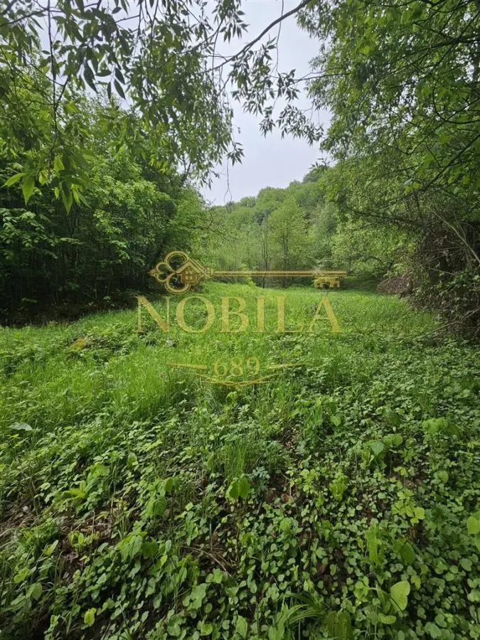 Teren Târgu Ocna - poza 1