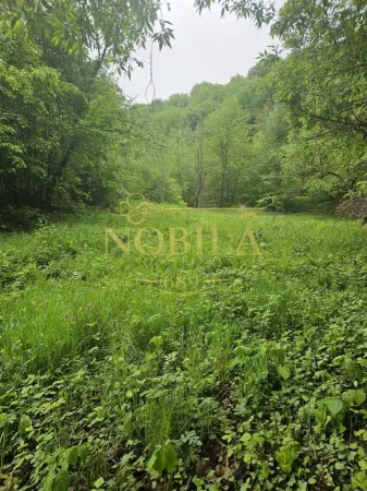 Teren Târgu Ocna - poza 5