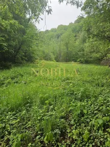 Teren Târgu Ocna - poza 5