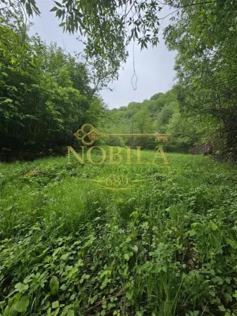 Teren Târgu Ocna - poza 9