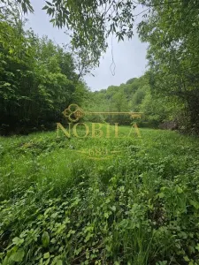 Teren Târgu Ocna - poza 9