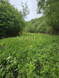 Teren Târgu Ocna - poza 10
