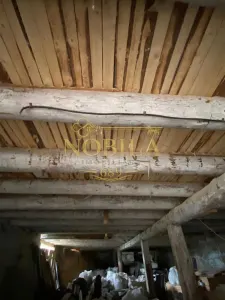 Teren Agas - poza 7