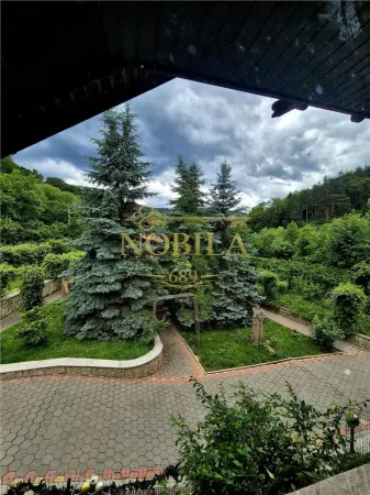 Casă 5 camere Târgu Ocna - poza 2