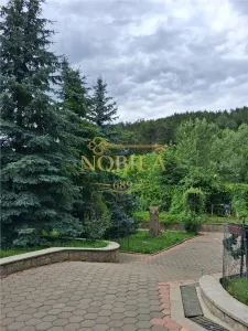 Casă 5 camere Târgu Ocna - poza 3