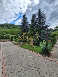 Casă 5 camere Târgu Ocna - poza 7