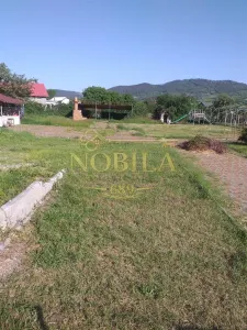 Teren Târgu Ocna - poza 2