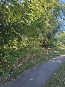 Teren Onești - poza 8