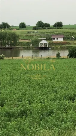 Teren Iepuresti - poza 19