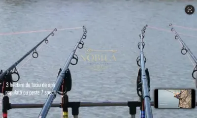 Teren Iepuresti - poza 8