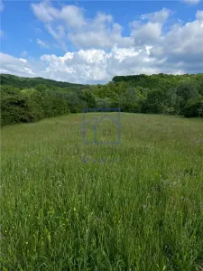 Teren Sibiu - poza 5