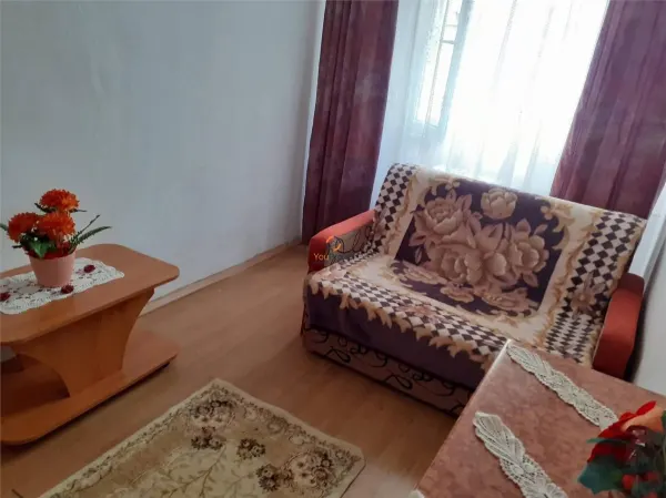 Apartament 1 camera Timișoara - poza 9