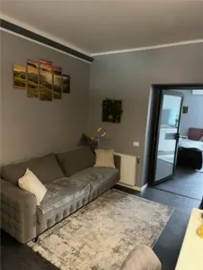 Apartament 2 camere Timișoara - poza 3