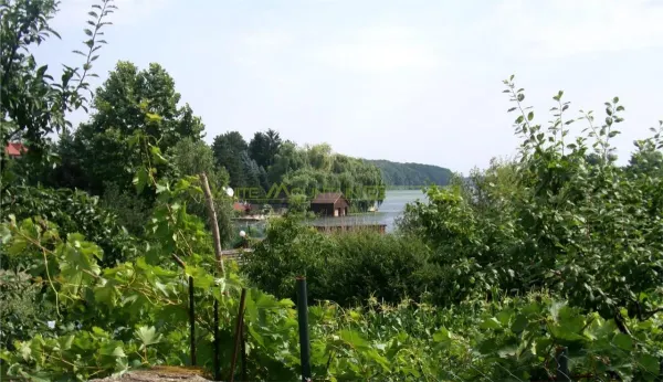 Casă 5 camere Ghermanesti - poza 2