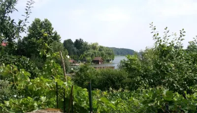 Casă 5 camere Ghermanesti - poza 2