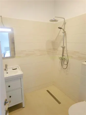 Casă 5 camere Ghermanesti - poza 18
