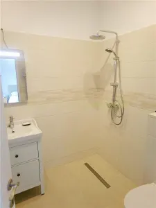 Casă 5 camere Ghermanesti - poza 18