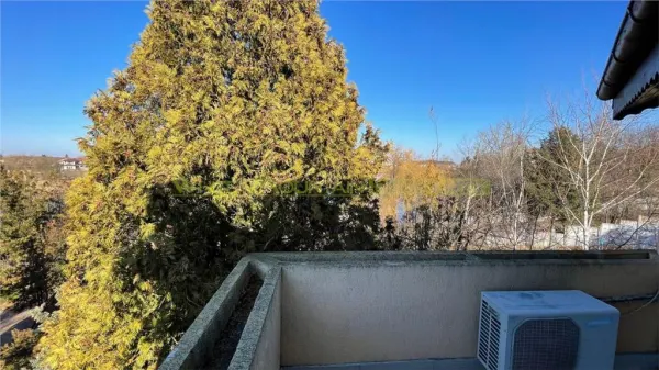 Casă 14 camere Corbeanca - poza 15