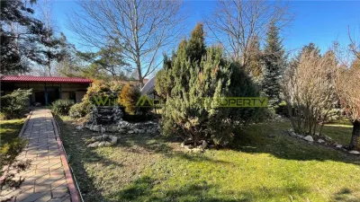 Casă 14 camere Corbeanca - poza 7