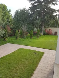 Casă 4 camere Otopeni - poza 20