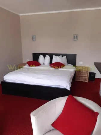 Hotel/Pensiune Dubova - poza 5