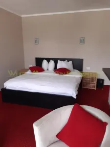 Hotel/Pensiune Dubova - poza 5