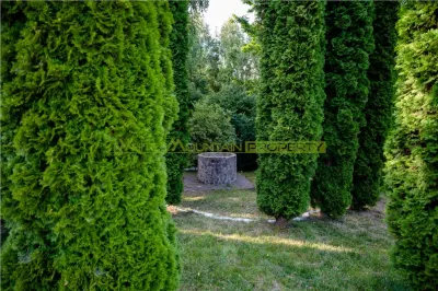 Hotel/Pensiune Râșnov - poza 5
