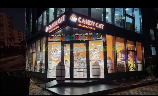 Spațiu comercial Pitești - poza 2