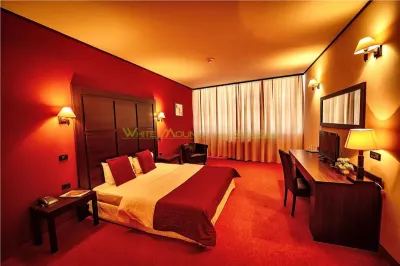 Hotel/Pensiune Timișoara - poza 3