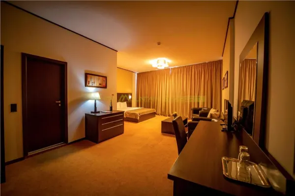 Hotel/Pensiune Timișoara - poza 4