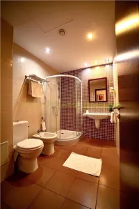 Hotel/Pensiune Timișoara - poza 5