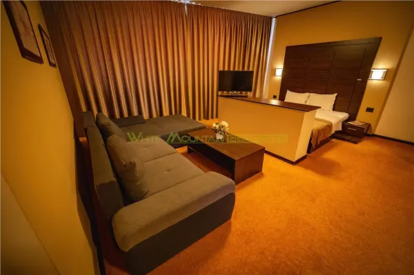 Hotel/Pensiune Timișoara - poza 6