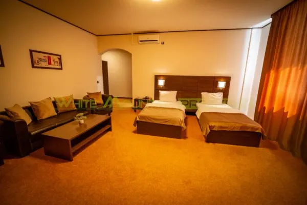 Hotel/Pensiune Timișoara - poza 7