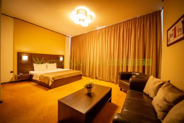 Hotel/Pensiune Timișoara - poza 8