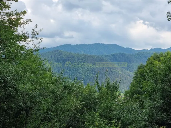 Apartament 3 camere Brașov - poza 20