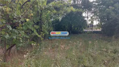 Casă 4 camere Botoșani - poza 16