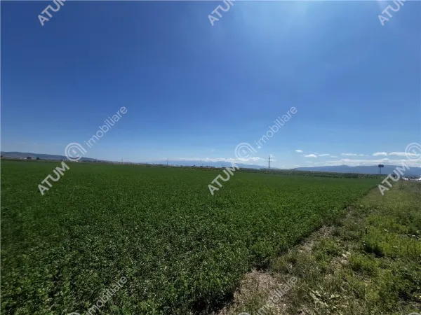 Teren Sibiu - poza 5