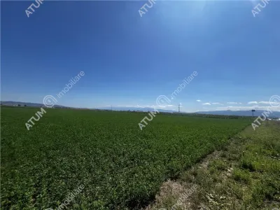 Teren Sibiu - poza 5
