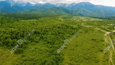 Teren intravilan de vanzare in localitatea Avrig din Sibiu - Avrig