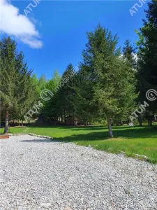 Casă 2 camere Avrig - poza 9