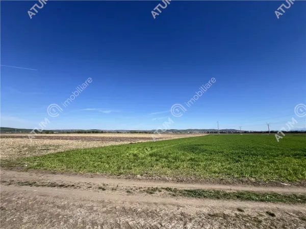 Teren Sibiu - poza 2