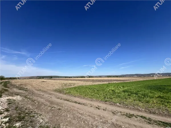 Teren Sibiu - poza 7