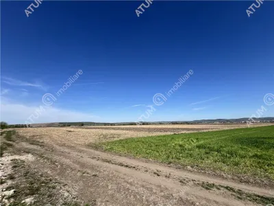 Teren Sibiu - poza 7