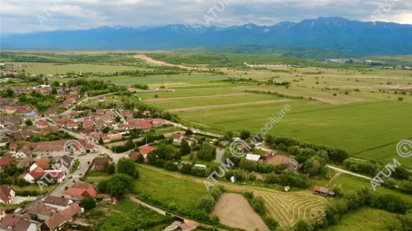 Teren Avrig - poza 3